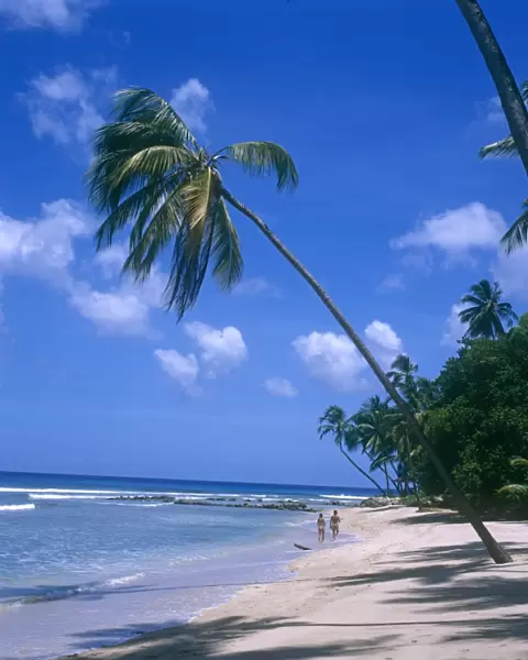 Gibbs Beach (Mullins Bay), Barbados
