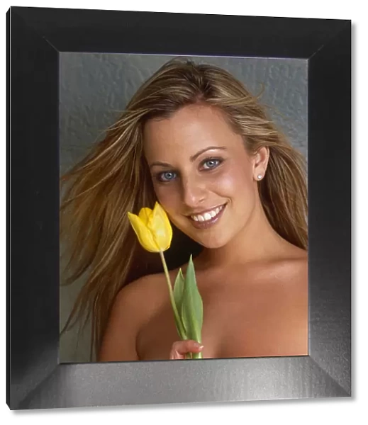 66318B. Lara, Single Yellow Tulip