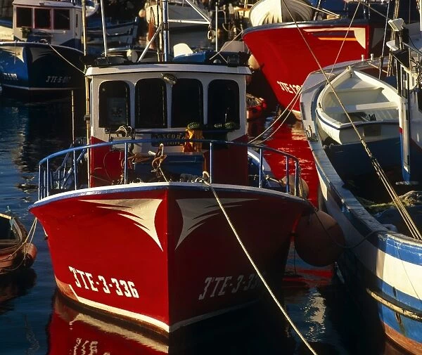 Fishing boats, Harbour Los Cristianos, Tenerife, Canary islands, Spain