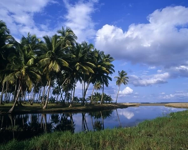 Landscape view of Playa Matancitas, Dominican Republic