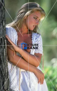 Suzanne Mizzi Collection: 24, 249022