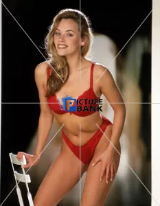 Lisa Forward Gallery: 46, 821Q046