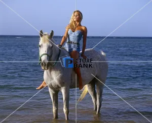 Abroad Gallery: Blonde woman riding a while Horse