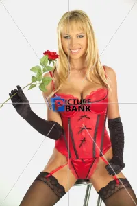 Glamor Collection: Carter - Girl pin-up indoors