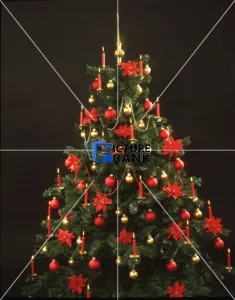 Christmas & New Years Collection: Christmas & New Years