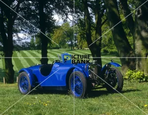 Perfect Gallery: Classic Blue Riley outdoors