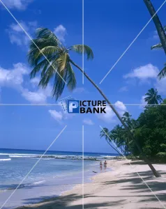 Scenes Collection: 