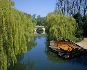 Travel Gallery: River Cam, bridge and boats, Cambridge, East Anglia, UK