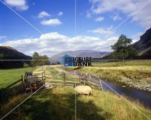 Britain Gallery: Scenes