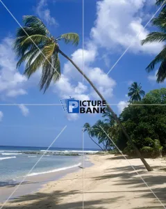 Scenes Collection: Scenes