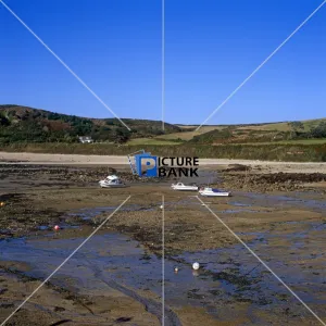 Scenes Collection: Scenes