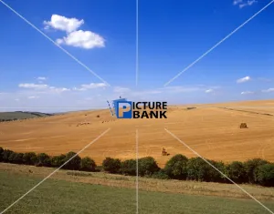 Scenes Collection: Scenes