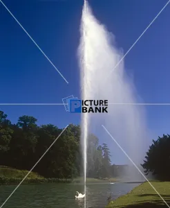 Scenes Collection: Scenes