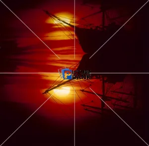 Transport Gallery: Transport