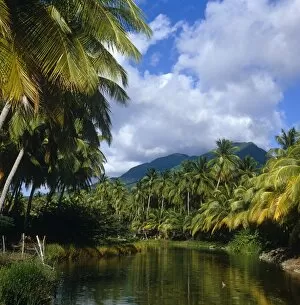Scene Gallery: View of Nevis, Leeward Islands, West Indies