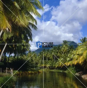 World Collection: View of Nevis, Leeward Islands, West Indies